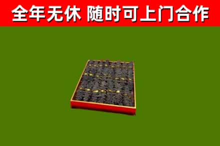 甘孜回收海参
